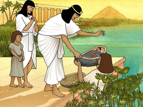 La hija del Faraón fue al Nilo con sus doncellas. Descubrieron al bebé en la cesta. A l a hija del Faraón le gustó el bebé hebreo. Entonces, la hermana del bebé le preguntó a la hija del Faraón si quería que le buscara una mujer que pudiera cuidar al bebé. La hija del Faraón dijo que sí. Entonces la hermana del bebé corrió a buscar a su madre. (Éxodo 2:5-8) – Número de diapositiva 5