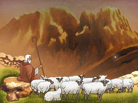Después de cuarenta años como pastor ... Moisés apacentaba el rebaño de Jetro su suegro, sacerdote de Madián; y condujo el rebaño hacia el lado occidental del desierto, y llegó a Horeb, el monte de Dios. (Éxodo 3:1, LBLA) – Número de diapositiva 1