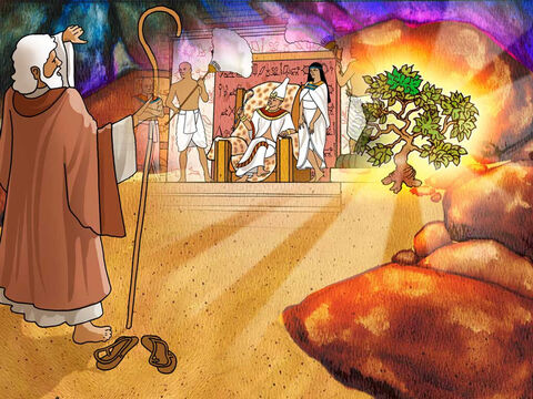 Dios le dijo a Moisés: “ Pero yo sé que el rey de Egipto no os dejará ir, si no es por la fuerza. Pero yo extenderé mi mano y heriré a Egipto con todos los prodigios que haré en medio de él, y después de esto, os dejará ir.” (Éxodo 3:19-20, LBLA) – Número de diapositiva 6