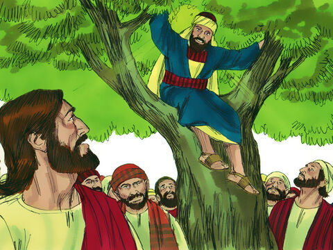 Cuando Jesús llegó a donde estaba el árbol, miró hacia arriba y dijo:<br/>–Zaqueo, baja de ahí rápidamente. Hoy me toca hospedarme en tu casa. – Número de diapositiva 5